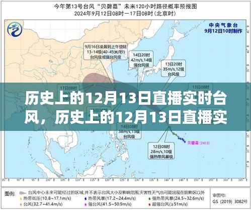 历史上的12月13日直播实时台风,全面评测与详细介绍