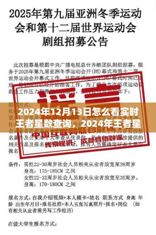 2024年王者星数实时查询指南,从初学者到进阶用户的查询步骤