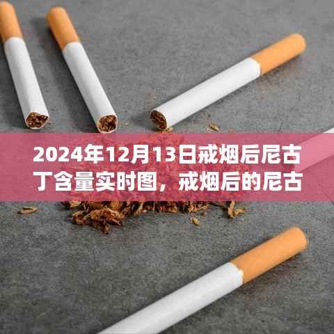 戒烟后尼古丁含量变化深度解读,实时图揭示戒烟过程尼古丁含量变化轨迹(图文详解)