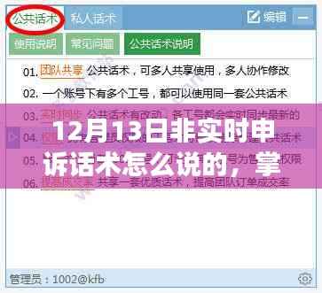 掌握关键技巧,非实时申诉话术在12月13日的实际应用策略与话术指南