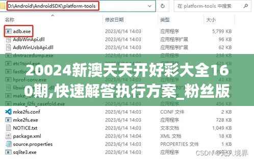 20024新澳天天开好彩大全160期,快速解答执行方案_粉丝版4.505