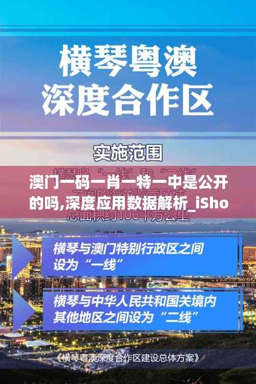 澳门一码一肖一特一中是公开的吗,深度应用数据解析_iShop1.702