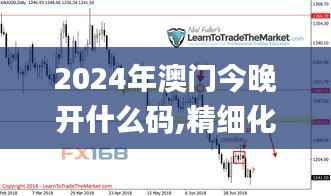 2024年澳门今晚开什么码,精细化方案实施_冒险版4.955