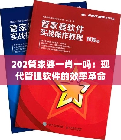 202管家婆一肖一吗:现代管理软件的效率革命