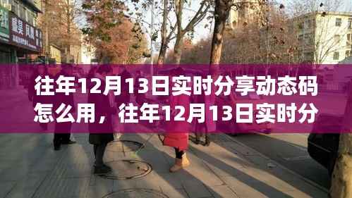 往年12月13日实时分享动态码,应用评测、特性体验、用户群体分析及使用指南