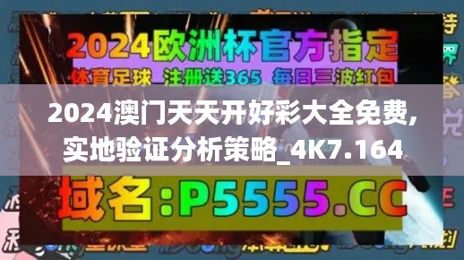 2024澳门天天开好彩大全免费,实地验证分析策略_4K7.164