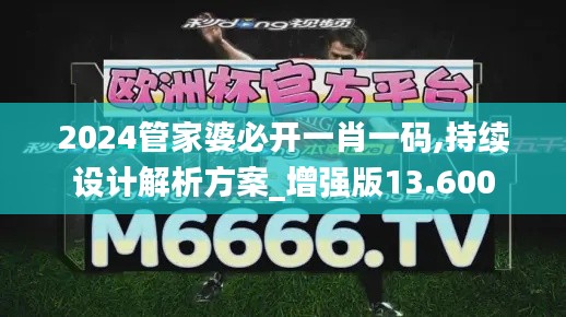 2024管家婆必开一肖一码,持续设计解析方案_增强版13.600