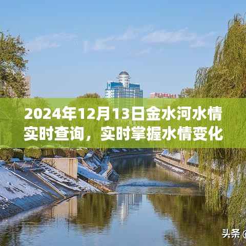 2024年12月13日金水河水情实时解析与最新水情掌握