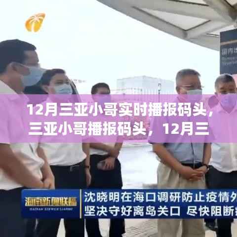 12月三亚港口实时资讯播报与深度评测,小哥带你直击码头动态
