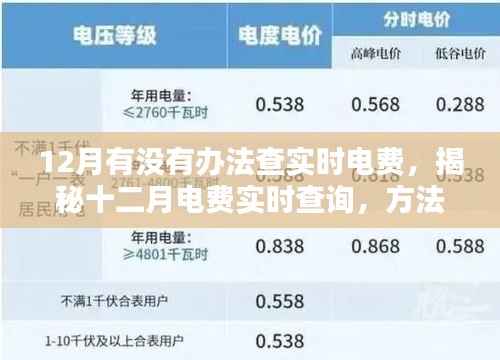 揭秘十二月电费实时查询方法与影响,背景及操作指南