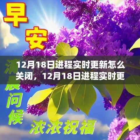 12月18日进程实时更新关闭详解,背景、事件、影响与时代地位分析