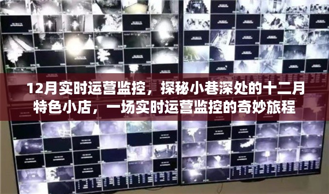 探秘小巷深处的十二月特色小店，实时运营监控之旅