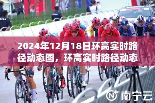 环高实时路径动态图深度测评与介绍,2024年12月18日产品概览