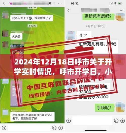 呼市开学日，重逢喜悦与小趣事回顾 2024年开学实时情况