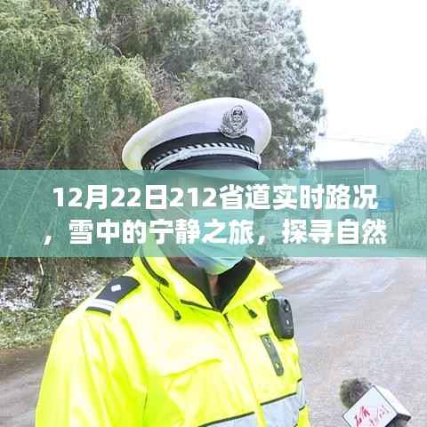 冬日雪中的宁静之旅,探寻自然美景,启程于212省道的实时路况探索之旅