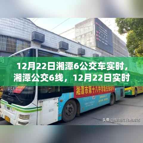湘潭公交6线深度体验评测与实时解析,12月22日实时报告