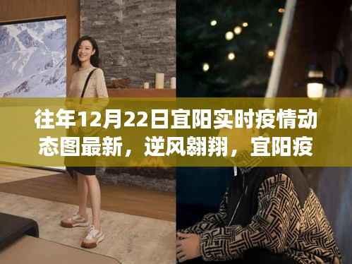 宜阳疫情动态更新,逆风翱翔下的学习与自信之旅