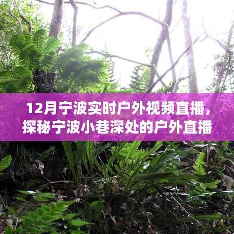 12月宁波户外直播探秘，冬日风情直播秀，小巷深处的秘境展示