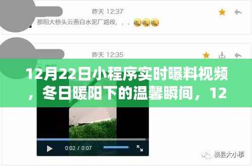 冬日暖阳下的温馨瞬间,12月22日小程序实时曝料视频集锦,欢乐日常曝光