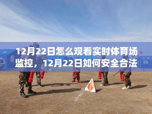 揭秘,如何安全合法地观看实时体育场监控?一篇文章全解析!