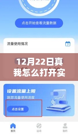 初学者也能轻松掌握!真我手机实时流量开启详细步骤指南(12月22日更新)