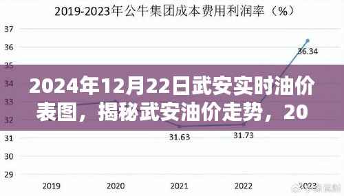 揭秘武安油价走势,最新油价表图与解析(2024年12月22日)