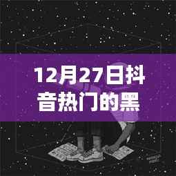 抖音热门背后的文化现象,黑白头像风潮探析