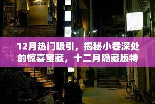 十二月小巷深处的惊喜宝藏,隐藏版特色小店揭秘