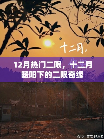 十二月暖阳下的二限奇缘,12月热门二次限定活动盘点