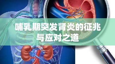 哺乳期突发肾炎的征兆与应对之道