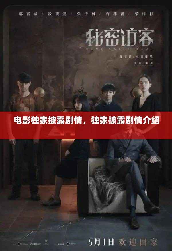 电影独家披露剧情,独家披露剧情介绍