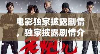 电影独家披露剧情,独家披露剧情介绍