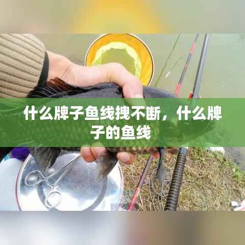 什么牌子鱼线拽不断,什么牌子的鱼线