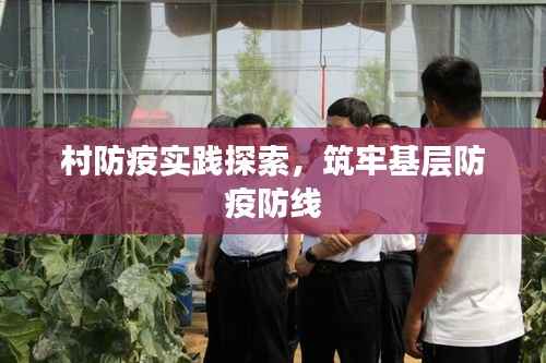 村防疫实践探索,筑牢基层防疫防线
