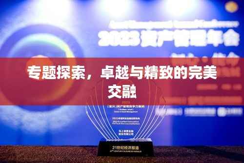 专题探索,卓越与精致的完美交融