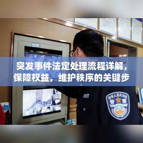 突发事件法定处理流程详解,保障权益,维护秩序的关键步骤