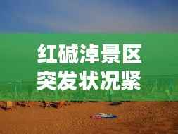 红碱淖景区突发状况紧急报道