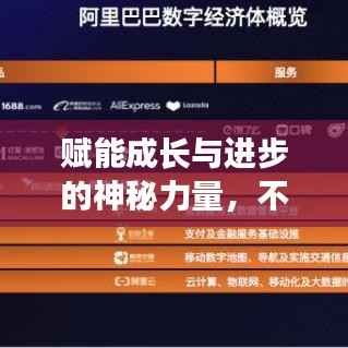 赋能成长与进步的神秘力量,不断升级的增幅书揭秘
