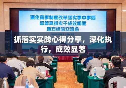 抓落实实践心得分享,深化执行,成效显著