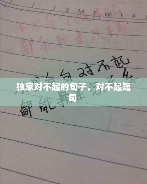 独家对不起的句子,对不起短句