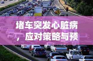 堵车突发心脏病,应对策略与预防措施