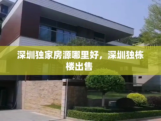 深圳独家房源哪里好，深圳独栋楼出售 