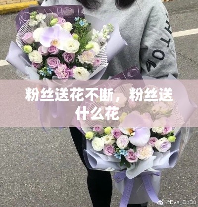 粉丝送花不断,粉丝送什么花