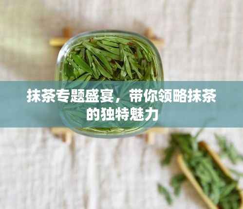 抹茶专题盛宴,带你领略抹茶的独特魅力
