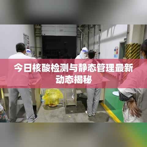 今日核酸检测与静态管理最新动态揭秘