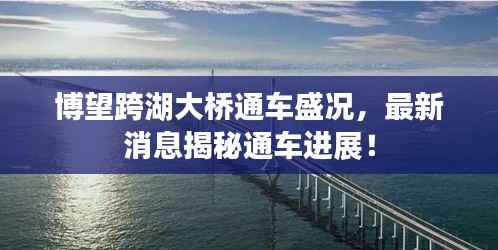 博望跨湖大桥通车盛况,最新消息揭秘通车进展!