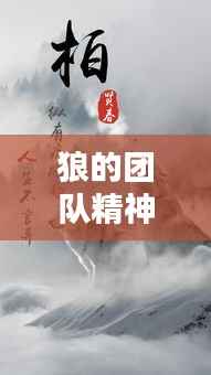 狼的团队精神,励志语录激发无限潜能