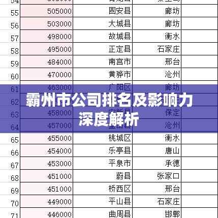霸州市公司排名及影响力深度解析