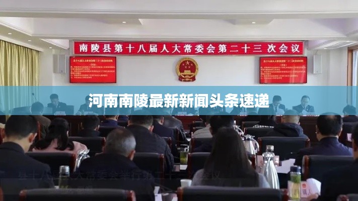 河南南陵最新新闻头条速递