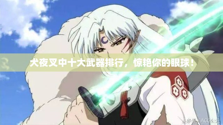 犬夜叉中十大武器排行,惊艳你的眼球!